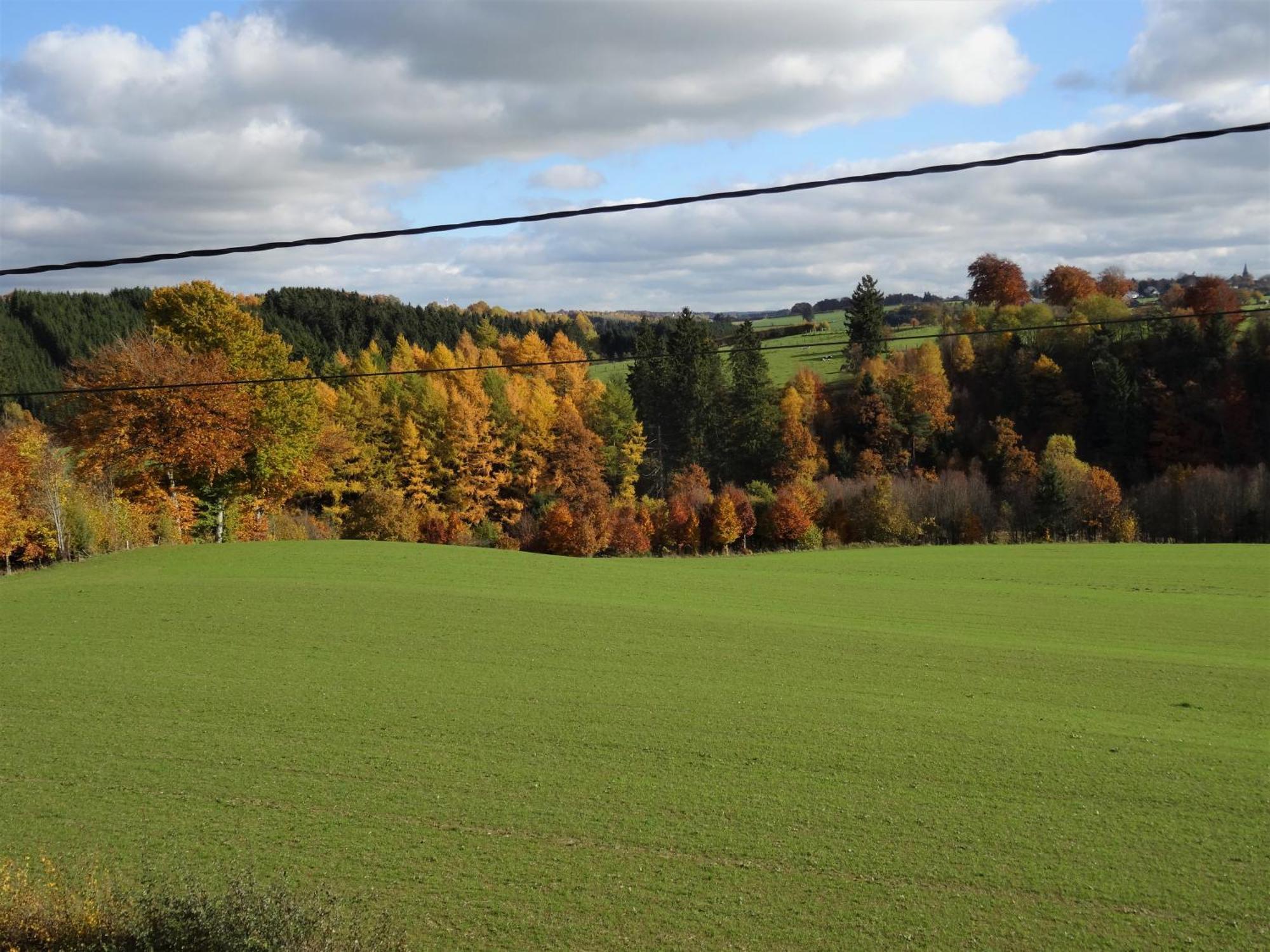 Le Son Du Silence, Gite Avec Sauna Au Bord Du Lac De Robertville Et Au Pied Des Hautes Fagnes Waimes Exterior photo