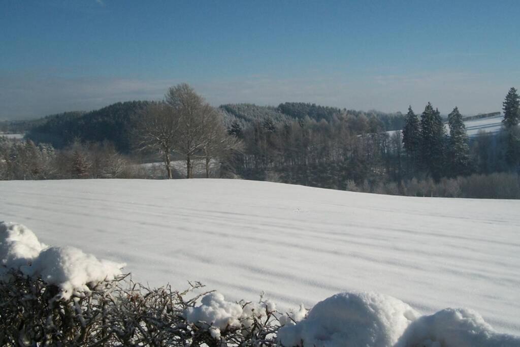 Le Son Du Silence, Gite Avec Sauna Au Bord Du Lac De Robertville Et Au Pied Des Hautes Fagnes Waimes Exterior photo