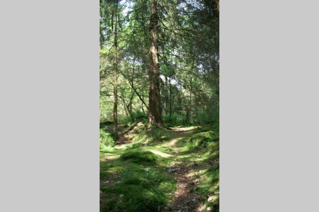 Le Son Du Silence, Gite Avec Sauna Au Bord Du Lac De Robertville Et Au Pied Des Hautes Fagnes Waimes Exterior photo