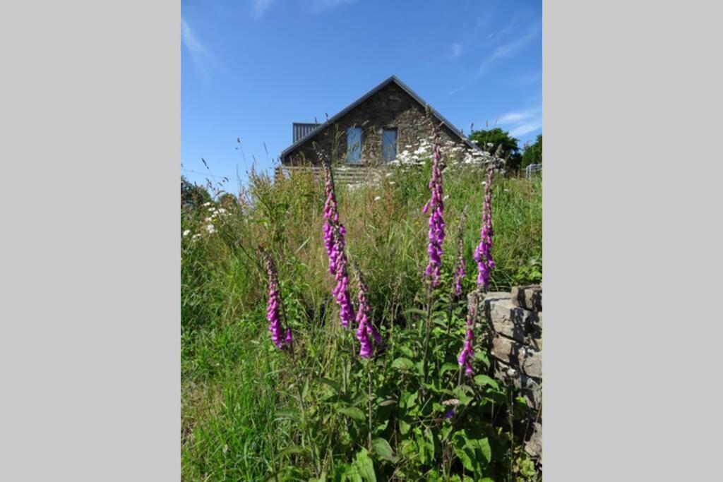 Le Son Du Silence, Gite Avec Sauna Au Bord Du Lac De Robertville Et Au Pied Des Hautes Fagnes Waimes Exterior photo